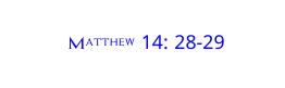 Matthew 14 28 29